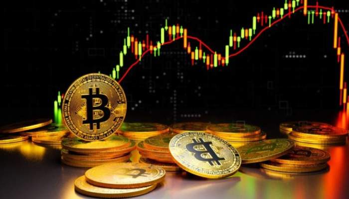 crypto30x.com doge